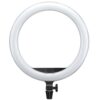 Godox LR150 Bi-Color LED Ring Light rengasvalo on pyöreä valaisin, jossa on alhaalla kiinnitys ja säätönupit pohjassa, ihanteellinen valokuvaukseen ja videovalaistukseen.